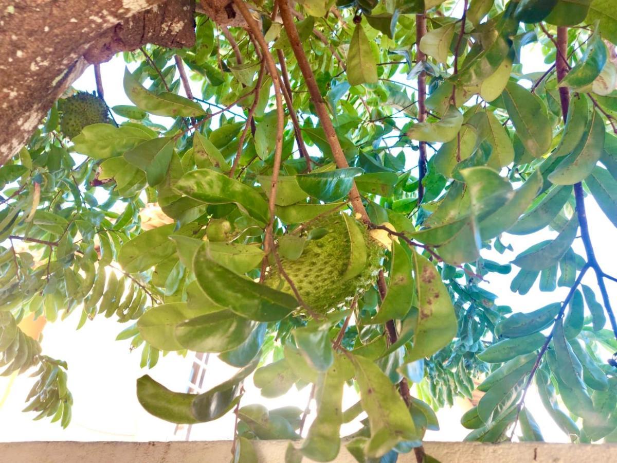 Branca Tropical Brasil Residencial- Taperapuan Villa Porto Seguro Ngoại thất bức ảnh