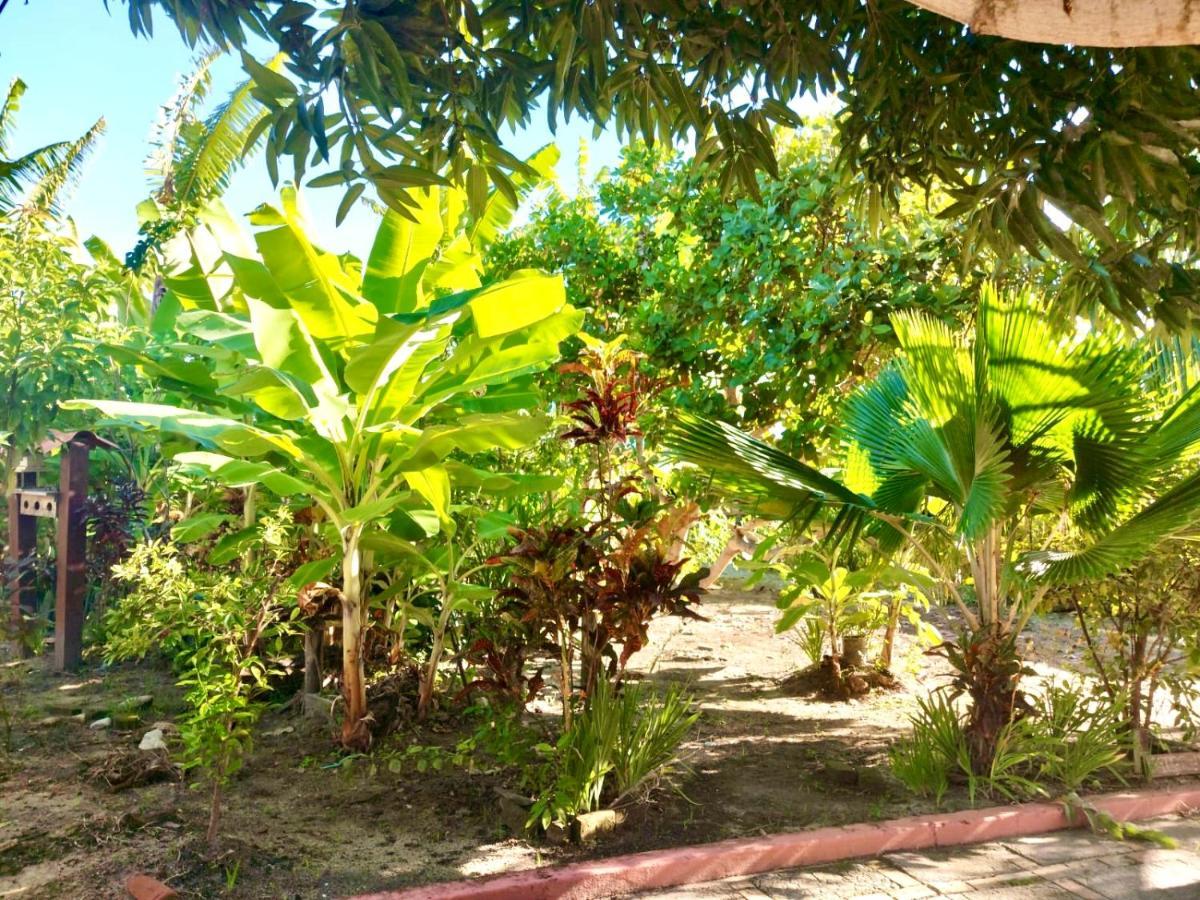 Branca Tropical Brasil Residencial- Taperapuan Villa Porto Seguro Ngoại thất bức ảnh