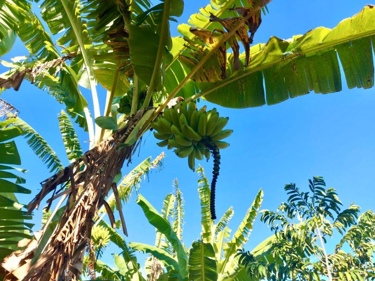 Branca Tropical Brasil Residencial- Taperapuan Villa Porto Seguro Ngoại thất bức ảnh